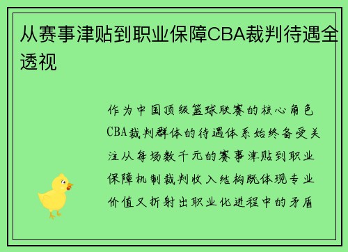 从赛事津贴到职业保障CBA裁判待遇全透视