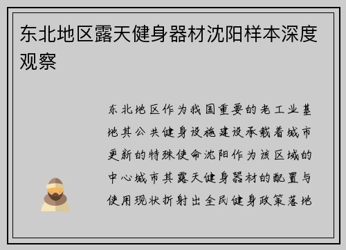 东北地区露天健身器材沈阳样本深度观察