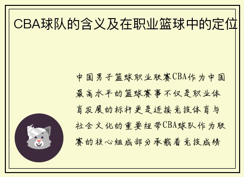 CBA球队的含义及在职业篮球中的定位