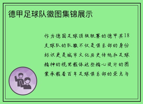 德甲足球队徽图集锦展示